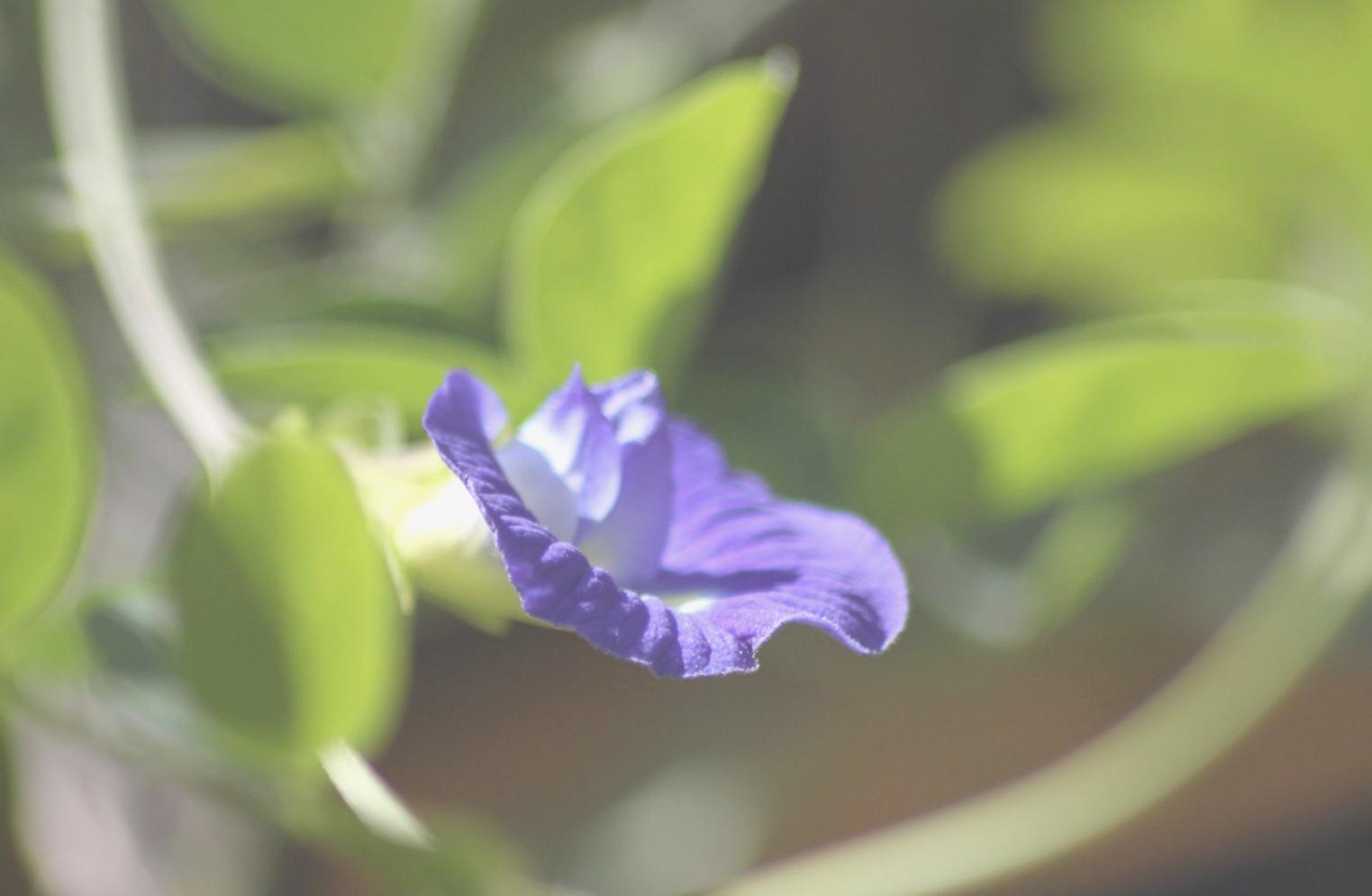 Professional workspace showing seasonal planning process